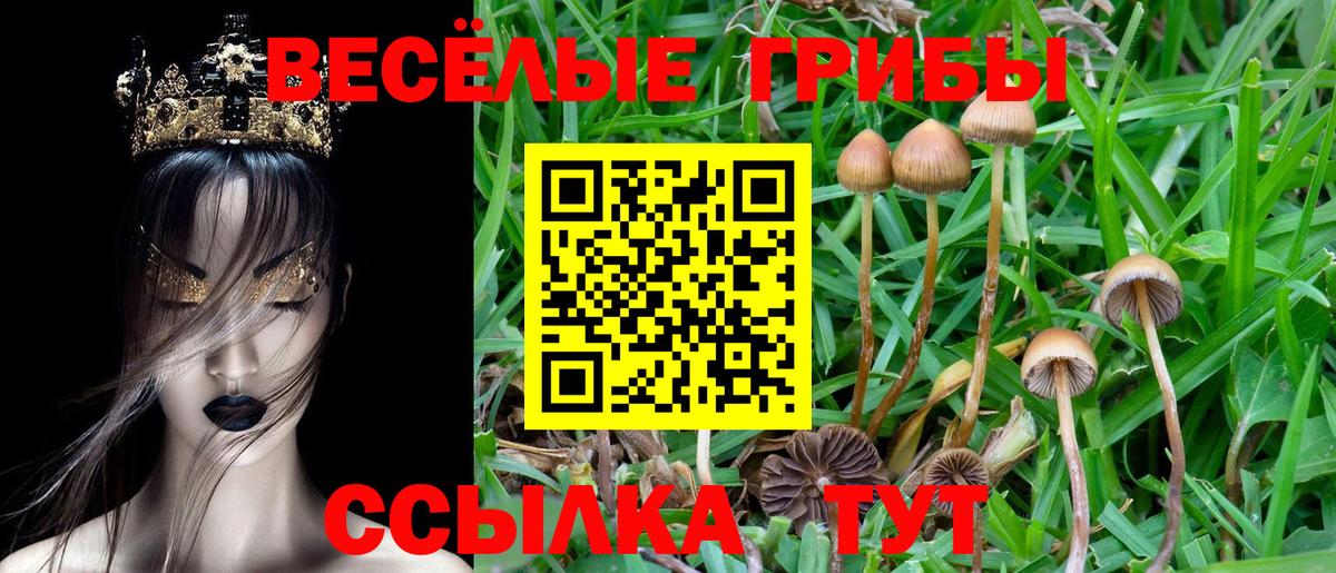 Галлюциногенные грибы ЛСД  Галлюциногенные грибы мицелий  Алексеевка  Вход с VPN 
